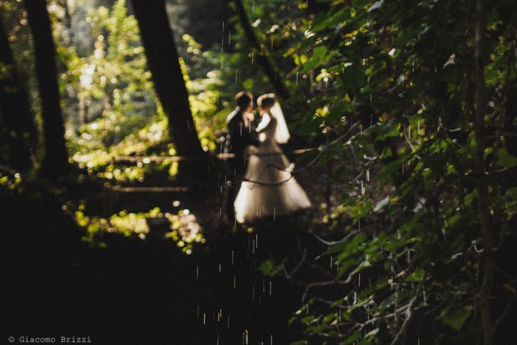 Foto in controluce dei due sposi tra la vegetazione, fotografo matrimonio ricevimento villa le molina, san giuliano terme